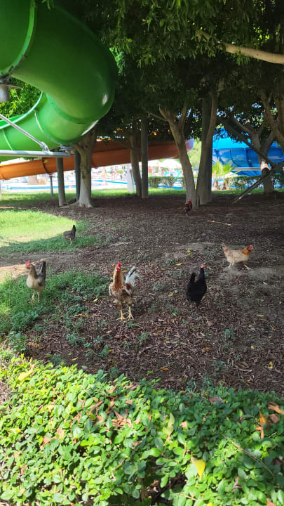 Sport & Freizeit Sunrise Resort Hotel