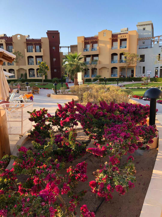 Ausblick Club Paradisio El Gouna, Red Sea