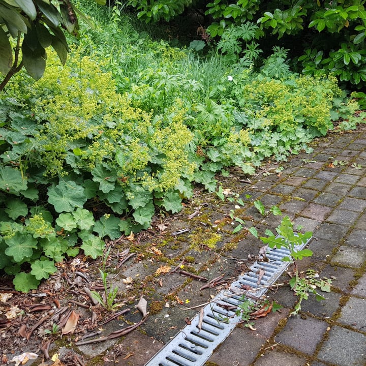 Sonstiges DORMERO Hotel Bonn - Windhagen