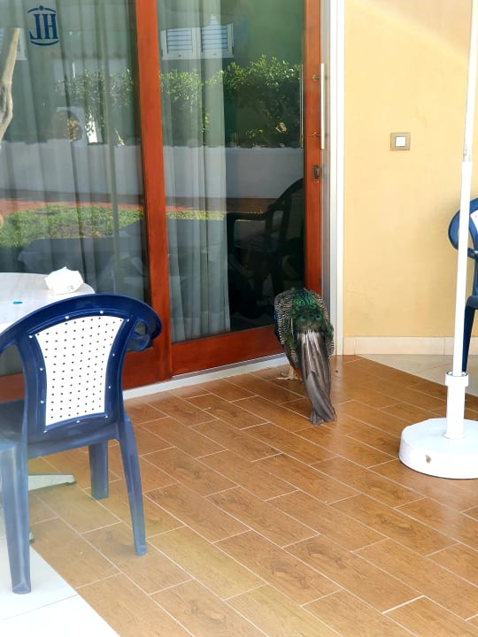 Zimmer HL Miraflor Suites Hotel