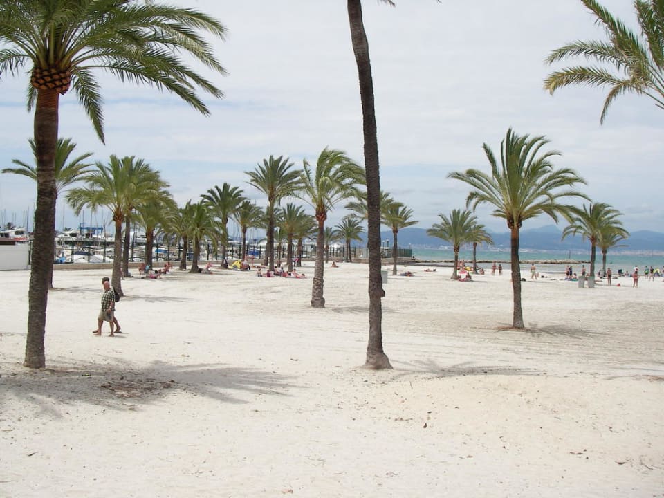 Am Strand JS Palma Stay