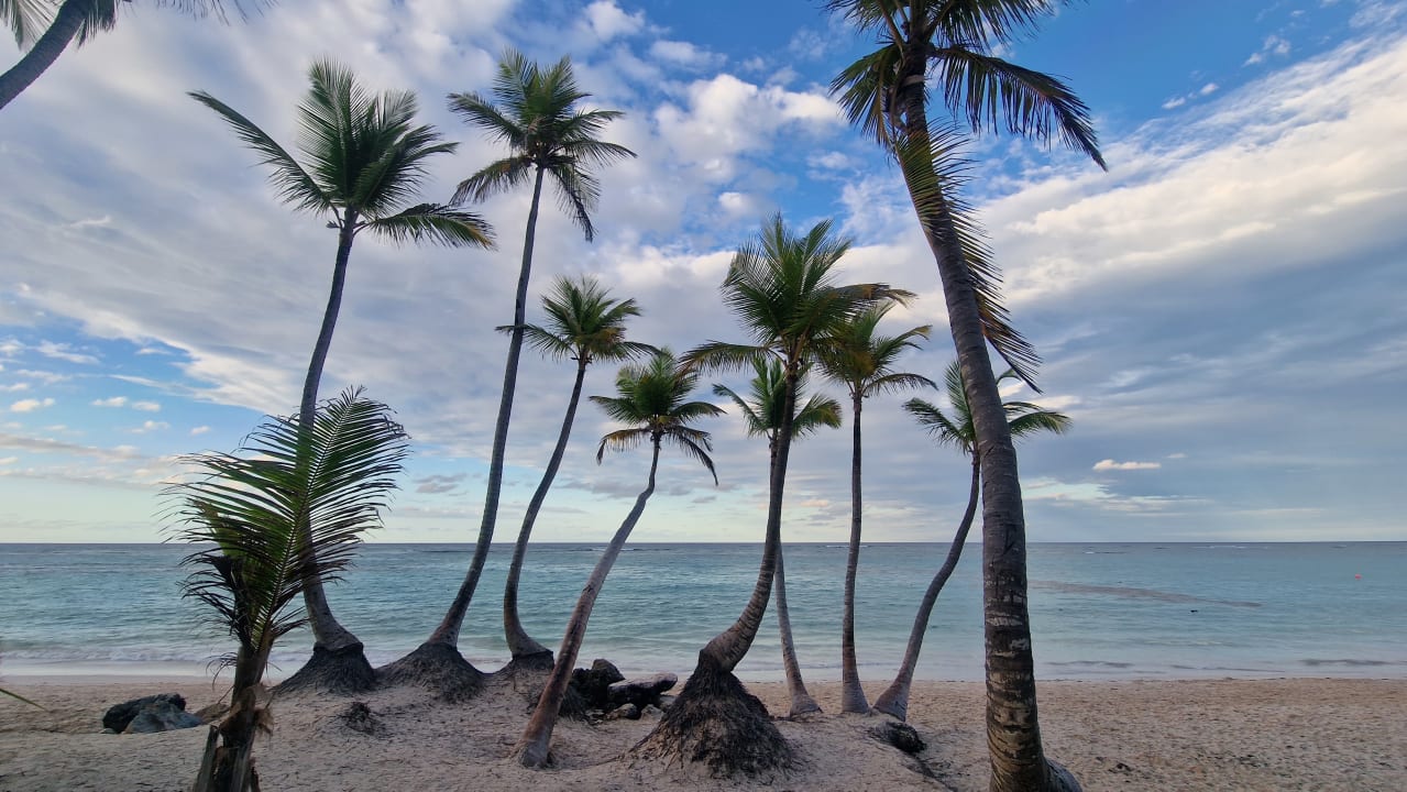 Strand Hotel Riu Palace Punta Cana