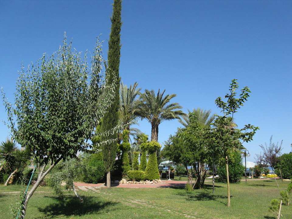 Blick vom Zimmer Block D Lonicera Resort & Spa Hotel