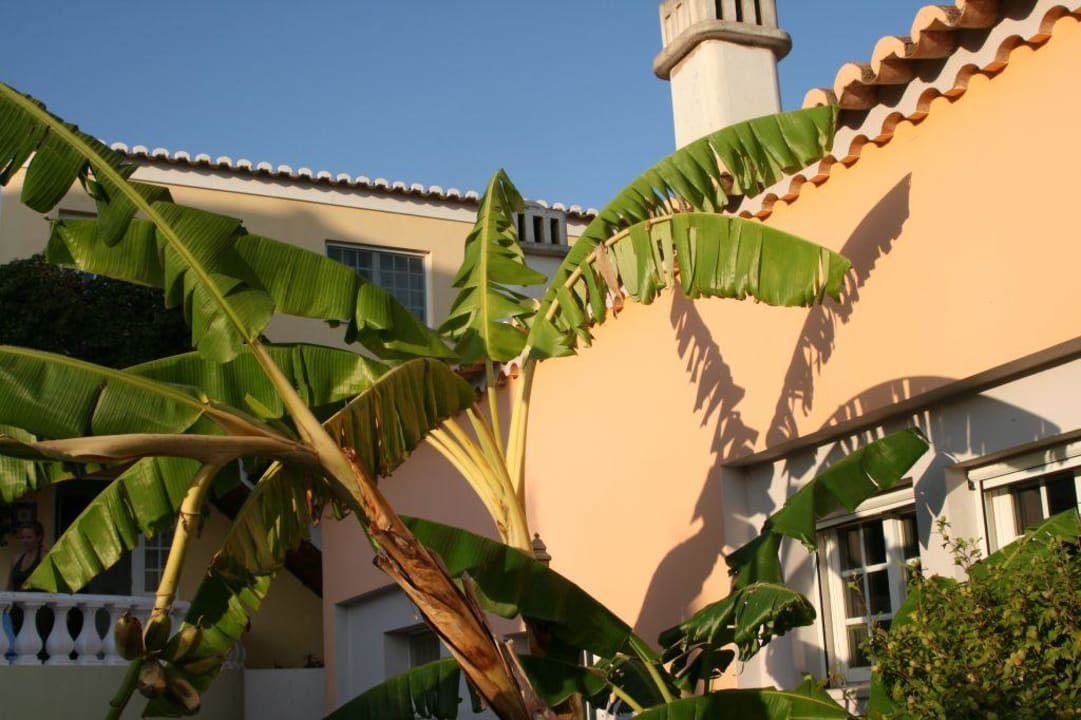 Hotelansicht Hotel Quinta das Barradas