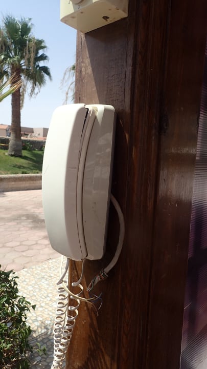 Sonstiges Pharaoh Azur Resort