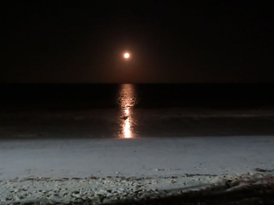 Strand Neptune Pwani Beach Resort & Spa