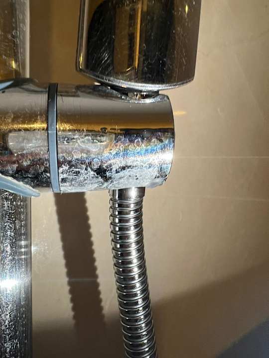 Sonstiges PALOMA Perissia