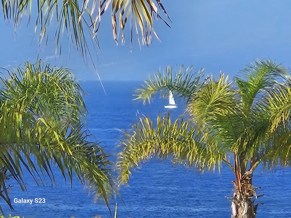 Ausblick Landmar Playa La Arena