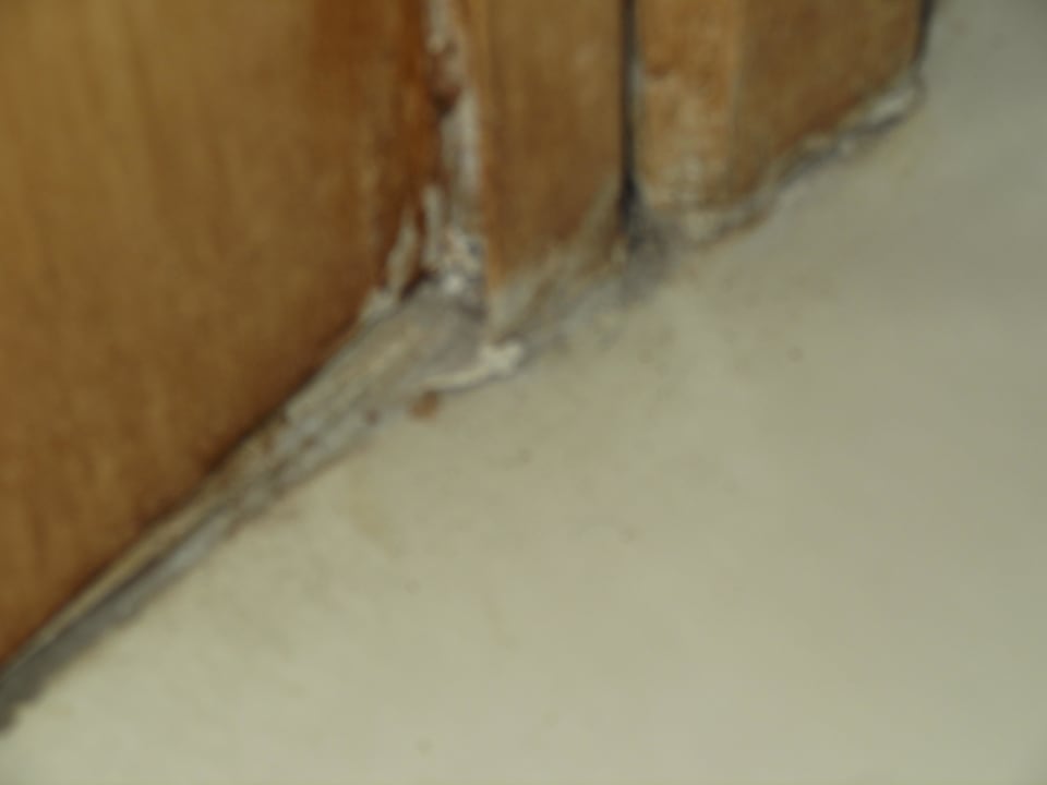 Bad Palmyra Golden Beach