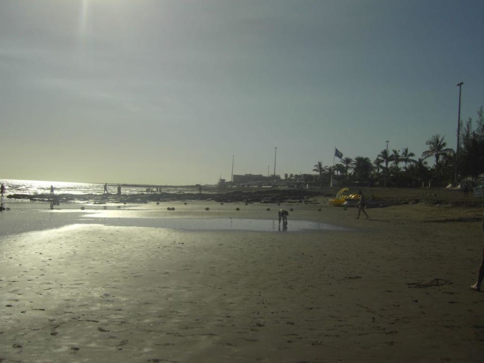 Strand Corallium Beach by Lopesan Hotels - Adults only