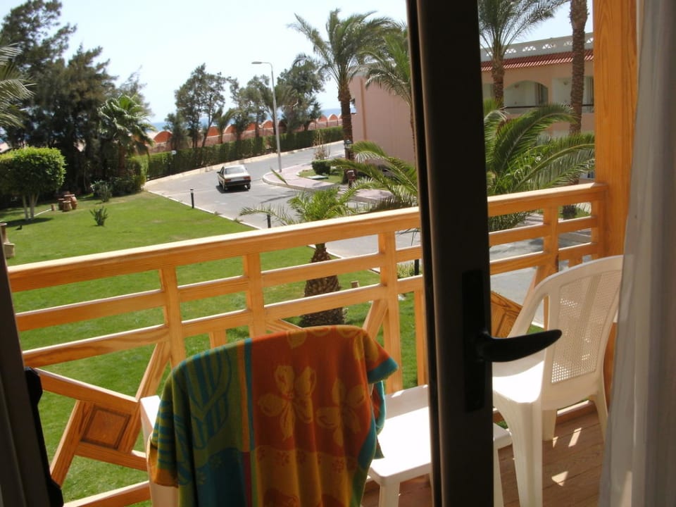 Ausblick von einem Sparzimmer Beach Albatros Resort