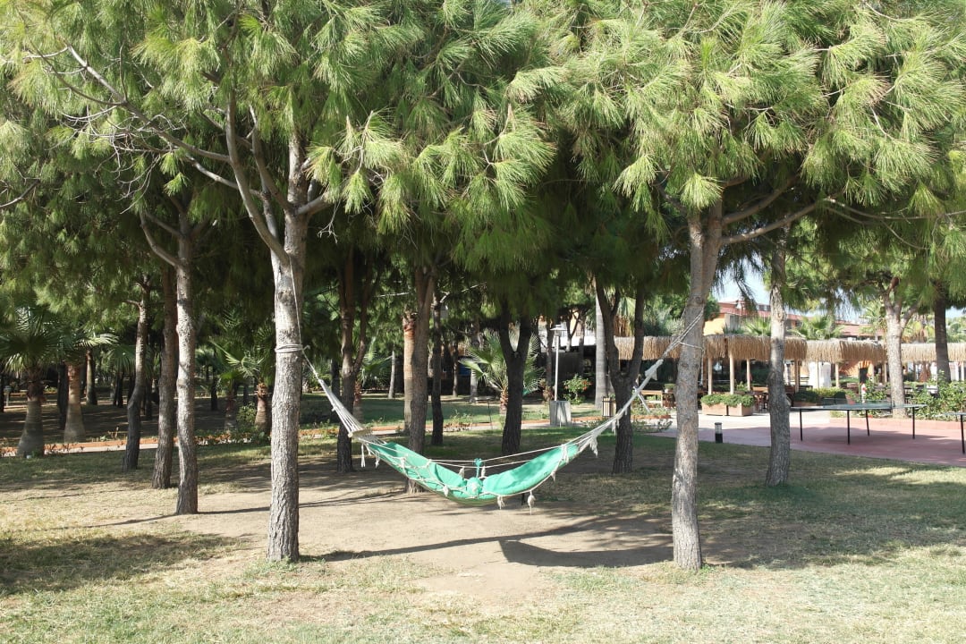 Wonderful Club Turtas Beach Hotel