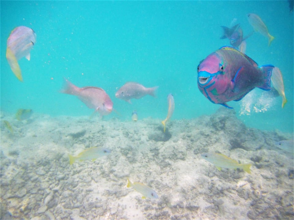 Strand Cinnamon Dhonveli Maldives