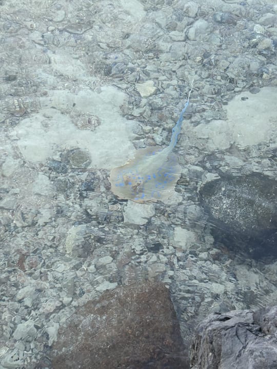 Sport & Freizeit Grand Makadi