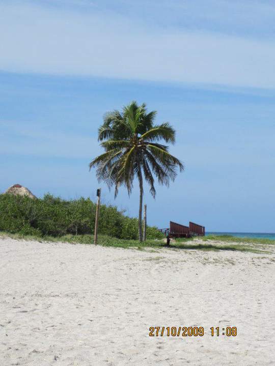 Palme Iberostar Origin Laguna Azul