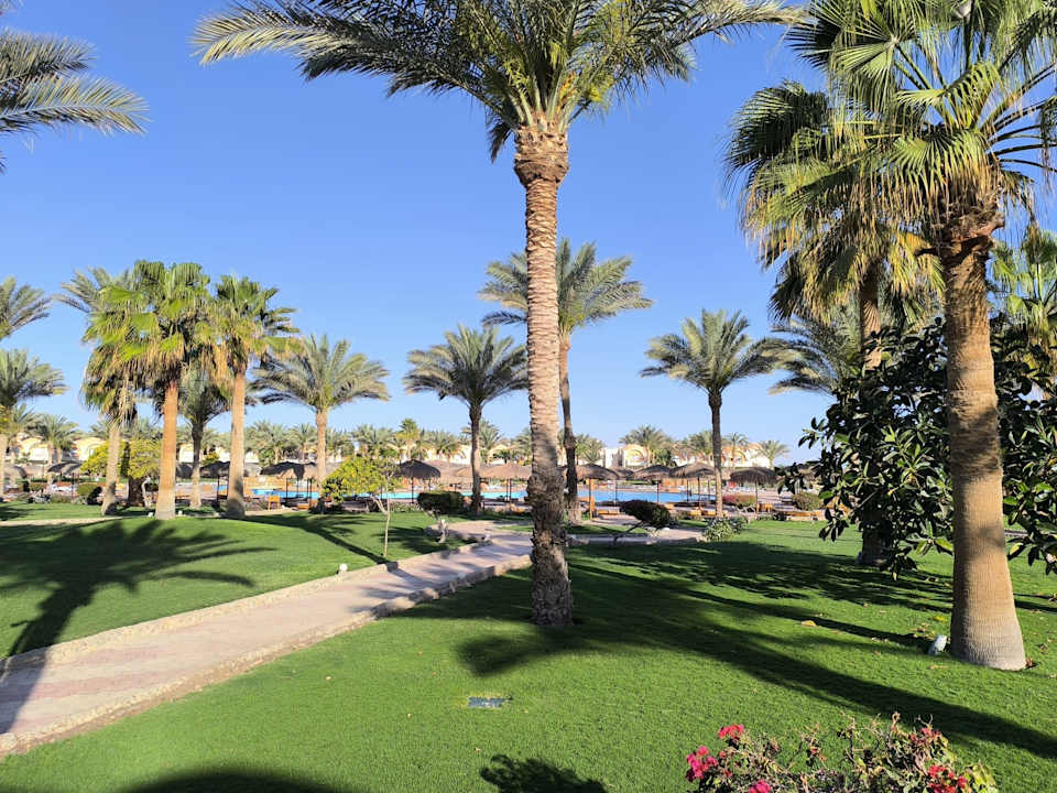 Gartenanlage Three Corners Sea Beach Resort