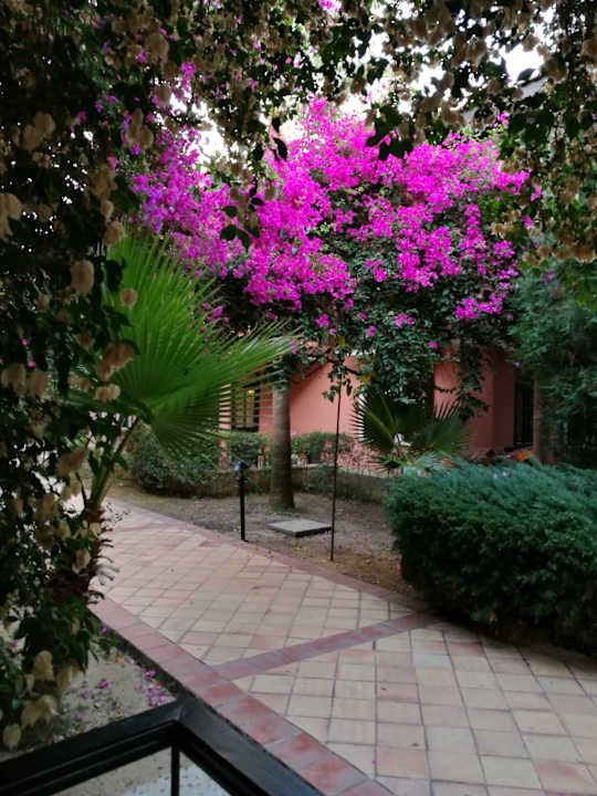Gartenanlage Club Dizalya