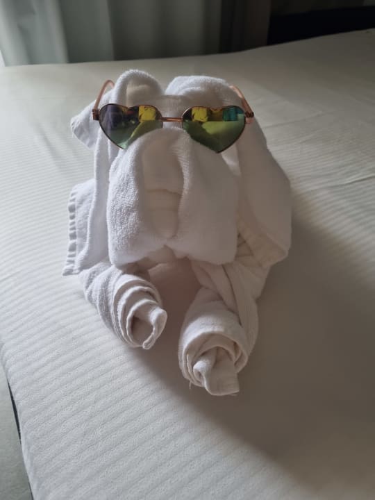 Zimmer Hotel Riu Palace Boavista