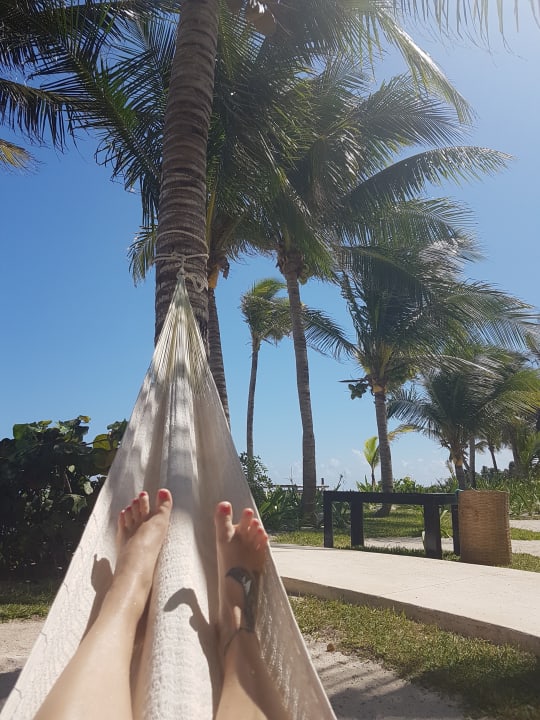 Gartenanlage Akumal Bay Beach & Wellness Resort