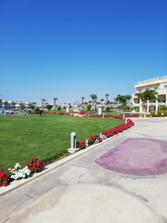 Außenansicht Pickalbatros Royal Moderna Resort-Sharm El Sheikh