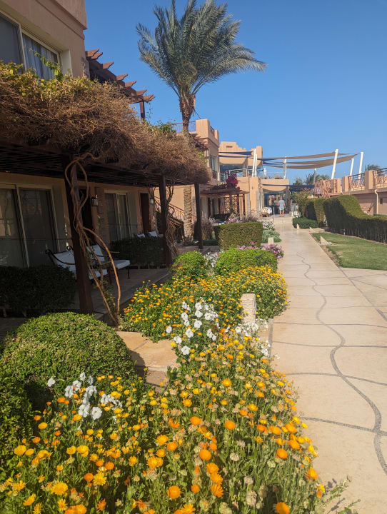 Gartenanlage Shams Safaga Resort
