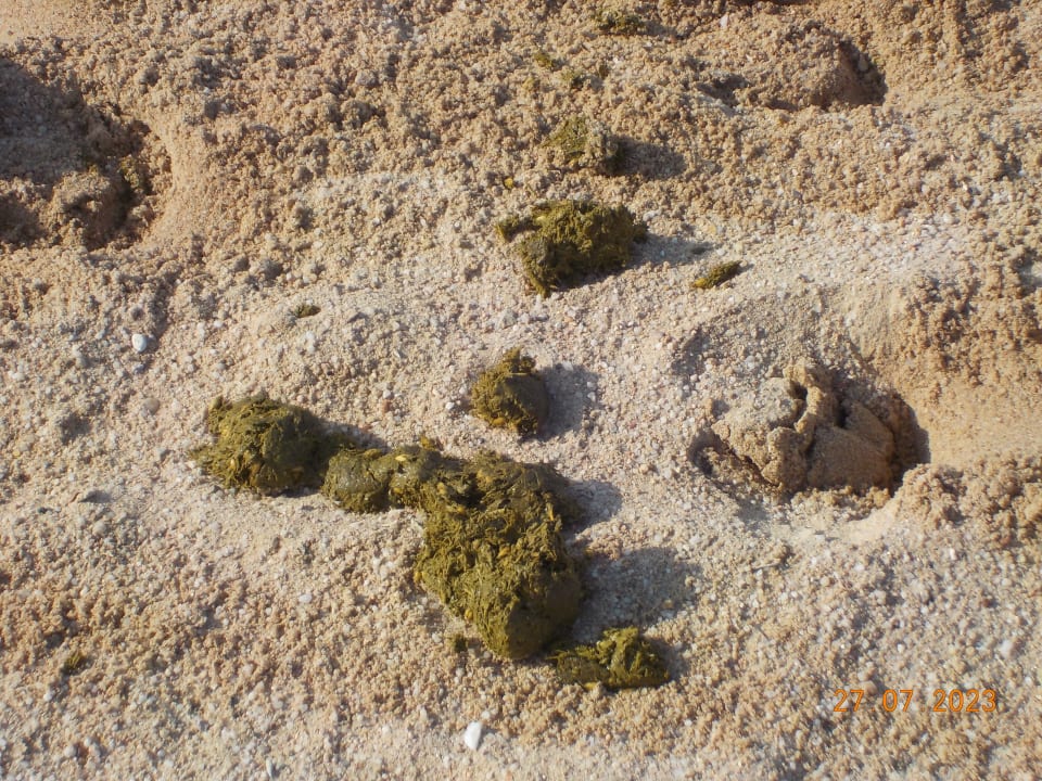 Strand Golden Beach Resort