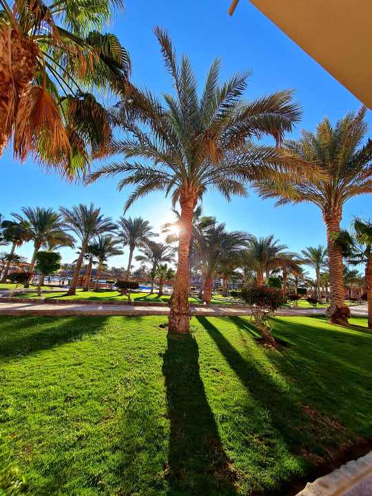 Gartenanlage Three Corners Sea Beach Resort