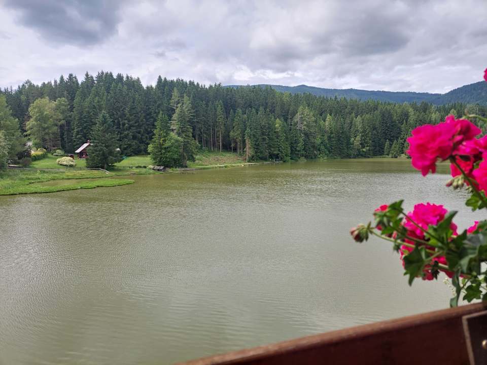 Ausblick Gasthof Fischerwirt