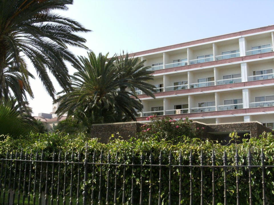 Hotel  Hotel Riu Palace Oasis