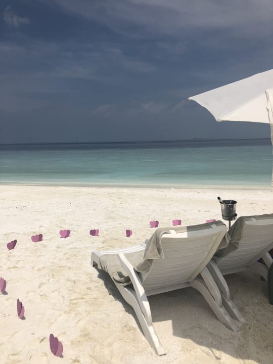 Strand Summer Island Maldives