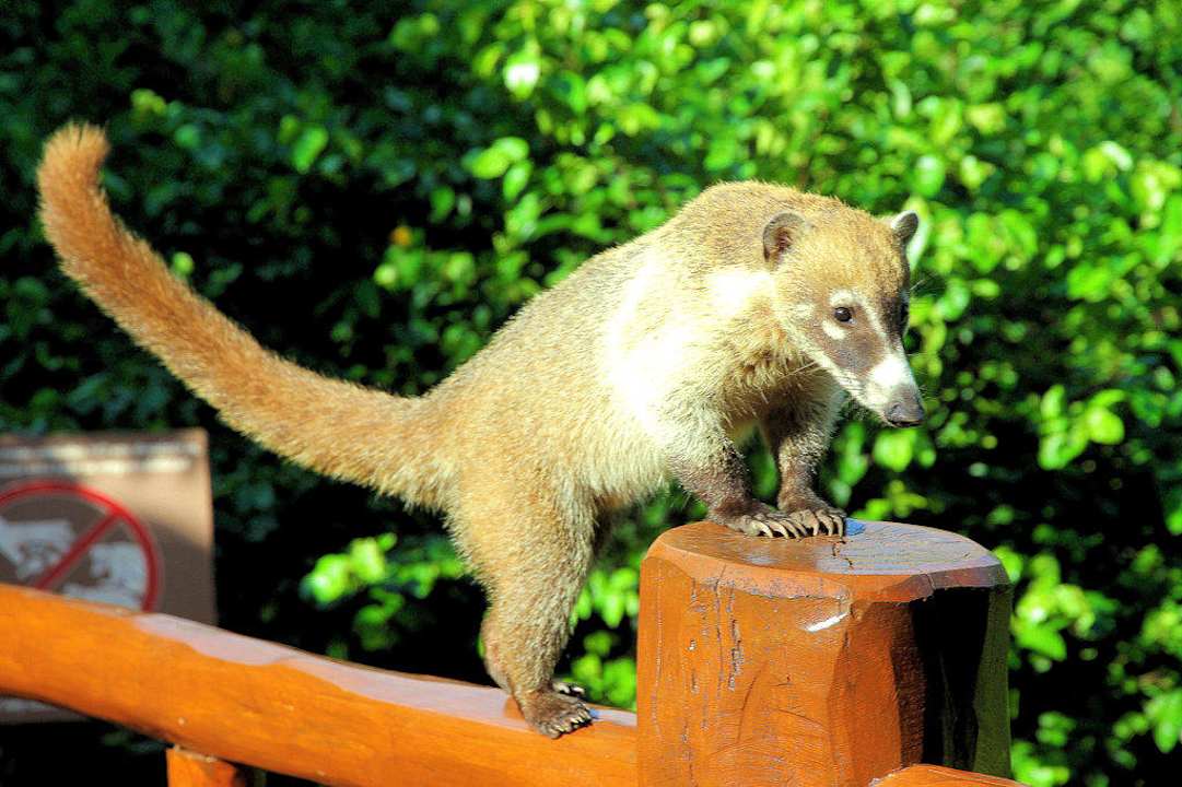 Жители отеля Grand Palladium Select White Sand Resort & Spa