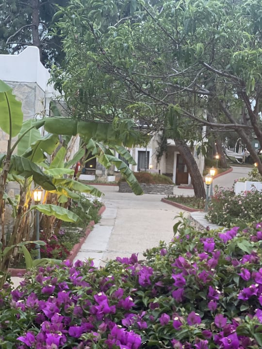 Gartenanlage Bodrum Park Resort