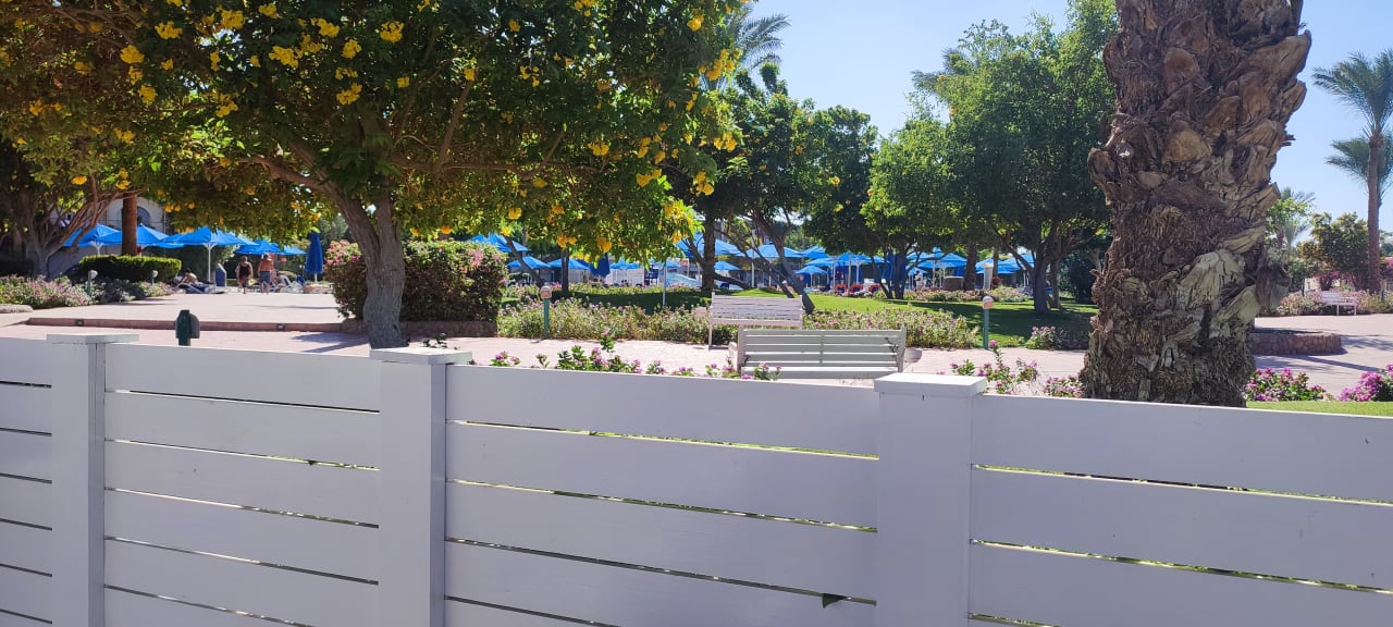 Gartenanlage Desert Rose