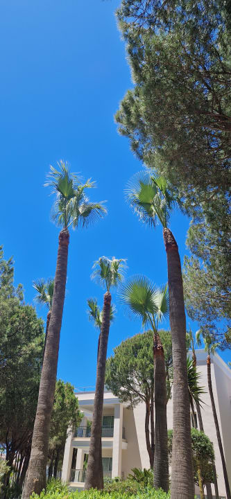 Gartenanlage Hipotels Barrosa Garden