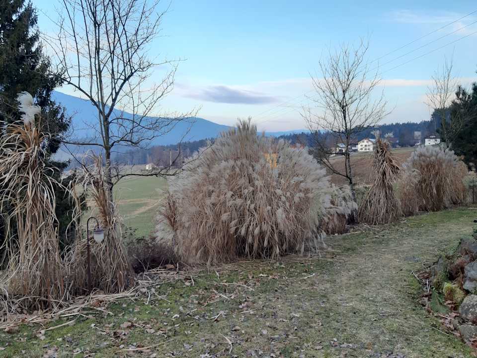 Gartenanlage Spirit & SPA Hotel Birkenhof am Elfenhain