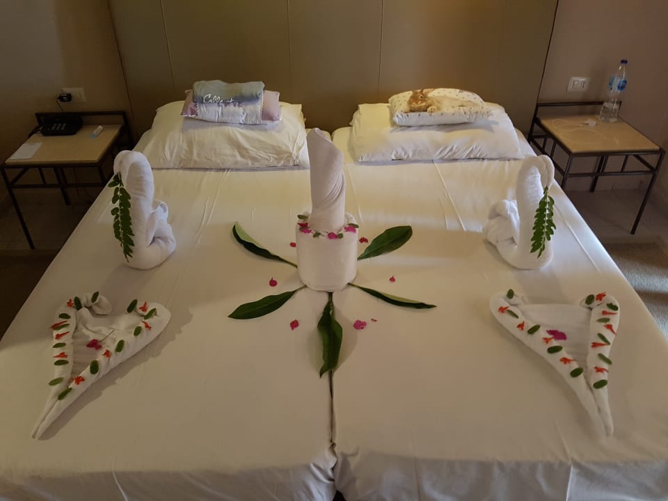 Zimmer Jaz Makadi Oasis Resort