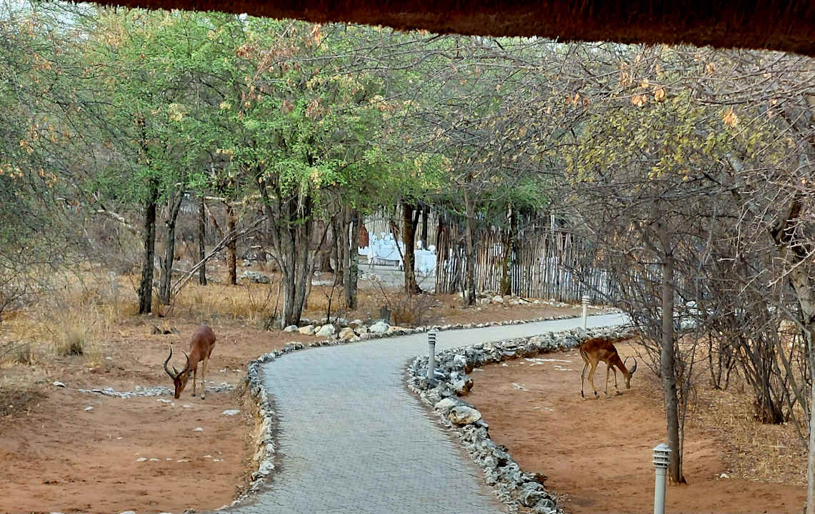 Außenansicht Hotel Mushara Lodge