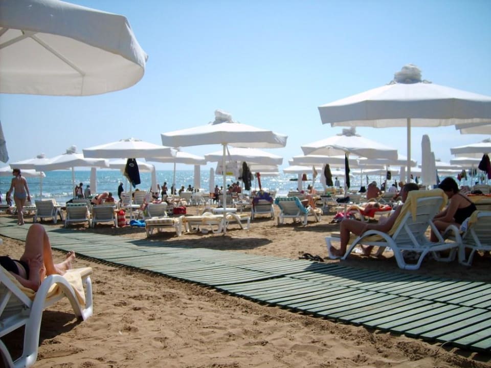 Nouvelle plage Arum Barut Collection