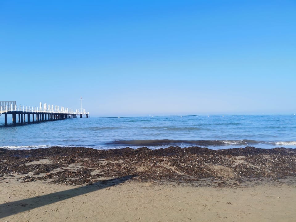 Strand PALOMA Perissia