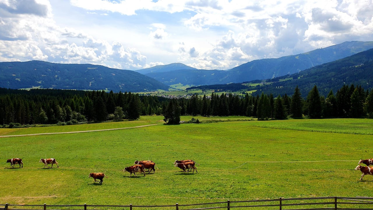 Ausblick Praschhof