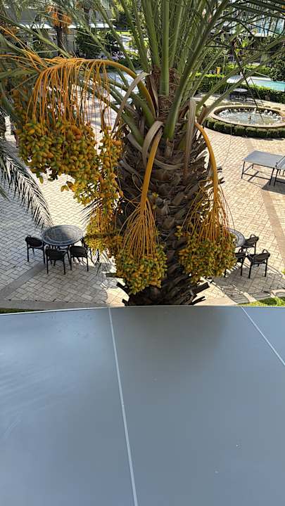 Gastro Sherwood Exclusive Lara