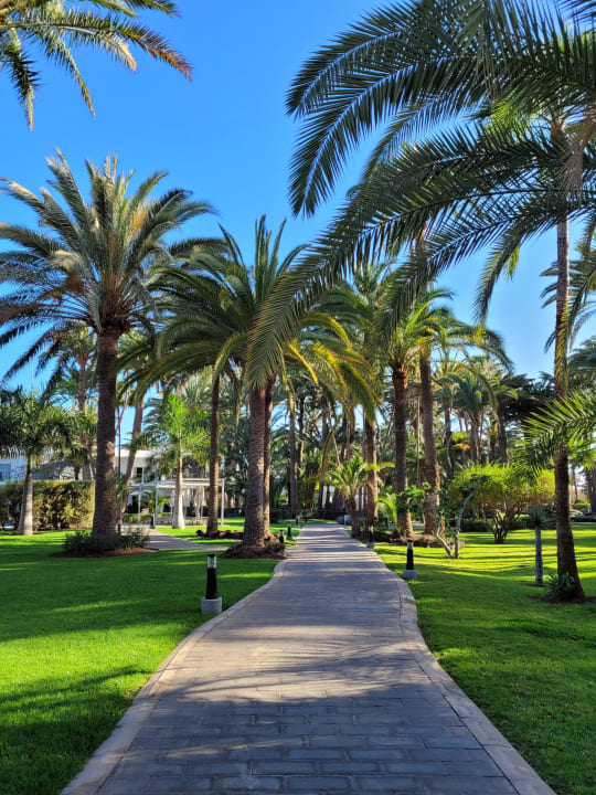 Gartenanlage Hotel Riu Palace Oasis