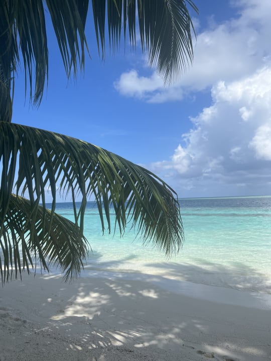 Strand Vilamendhoo Island Resort & Spa