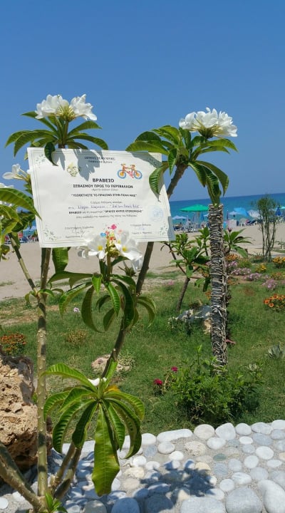 Gartenanlage Hotel Kathrin Beach