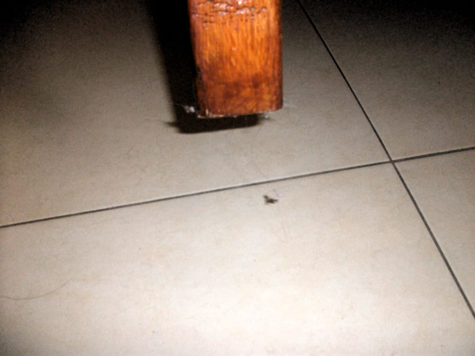 Schutz nach 3 std warten aufs Zimmer beziehen Club Tuana Fethiye