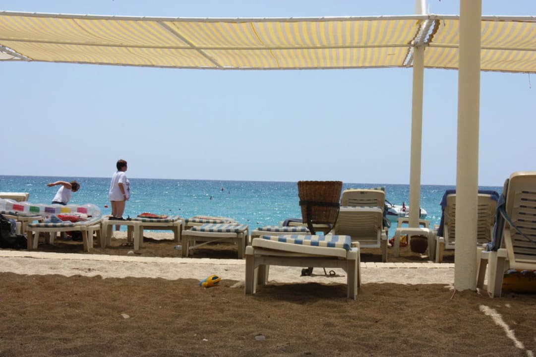 Strand TUI BLUE Palm Garden