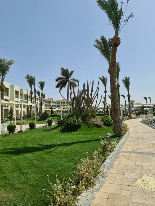 Garten Pickalbatros Dana Beach Resort - Hurghada