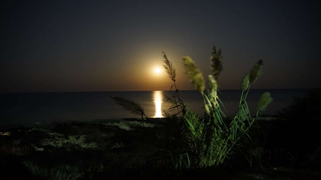 Ausblick Crystal Springs Beach Hotel
