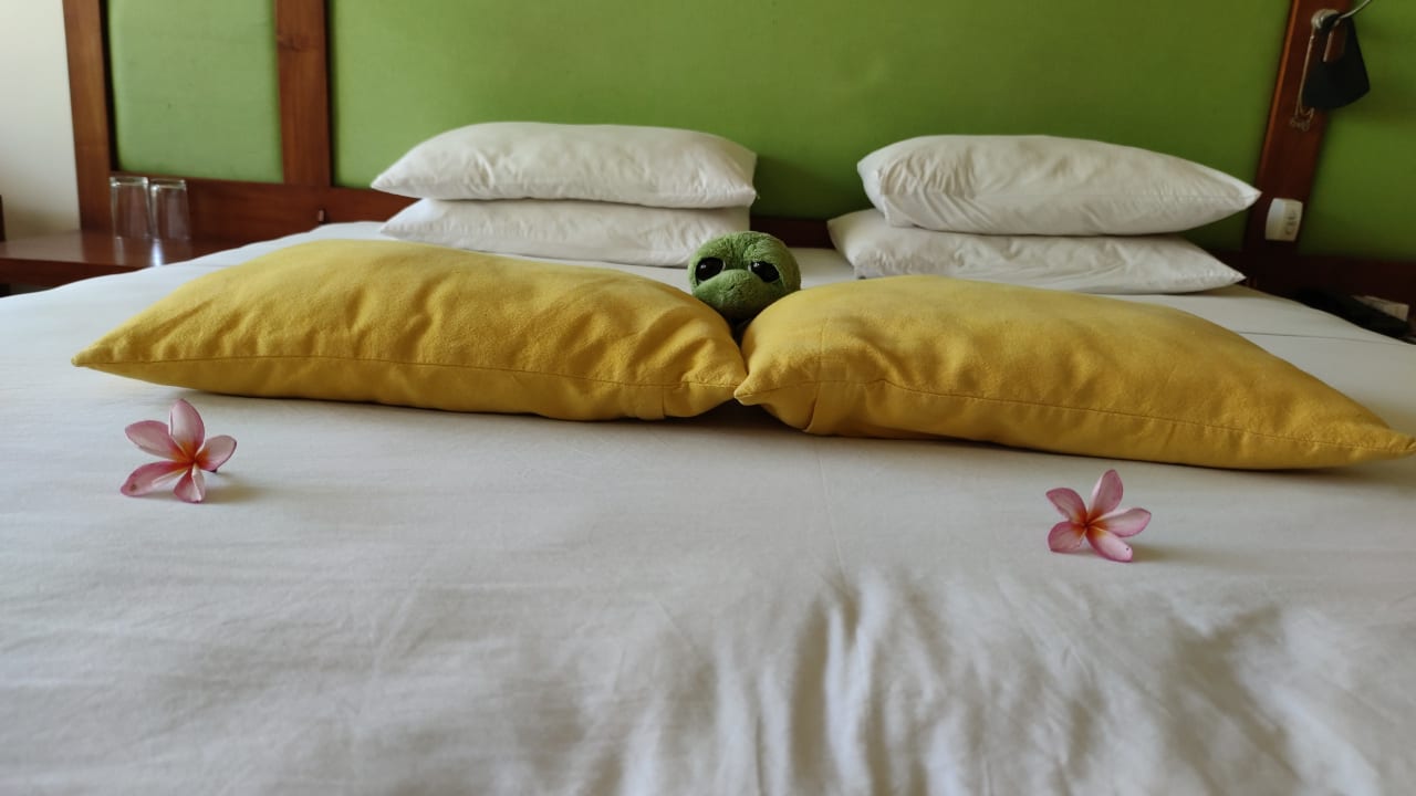 Zimmer Mermaid Hotel & Club