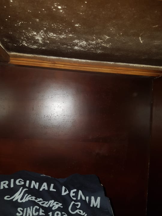 Zimmer Dreams La Romana Resort & Spa